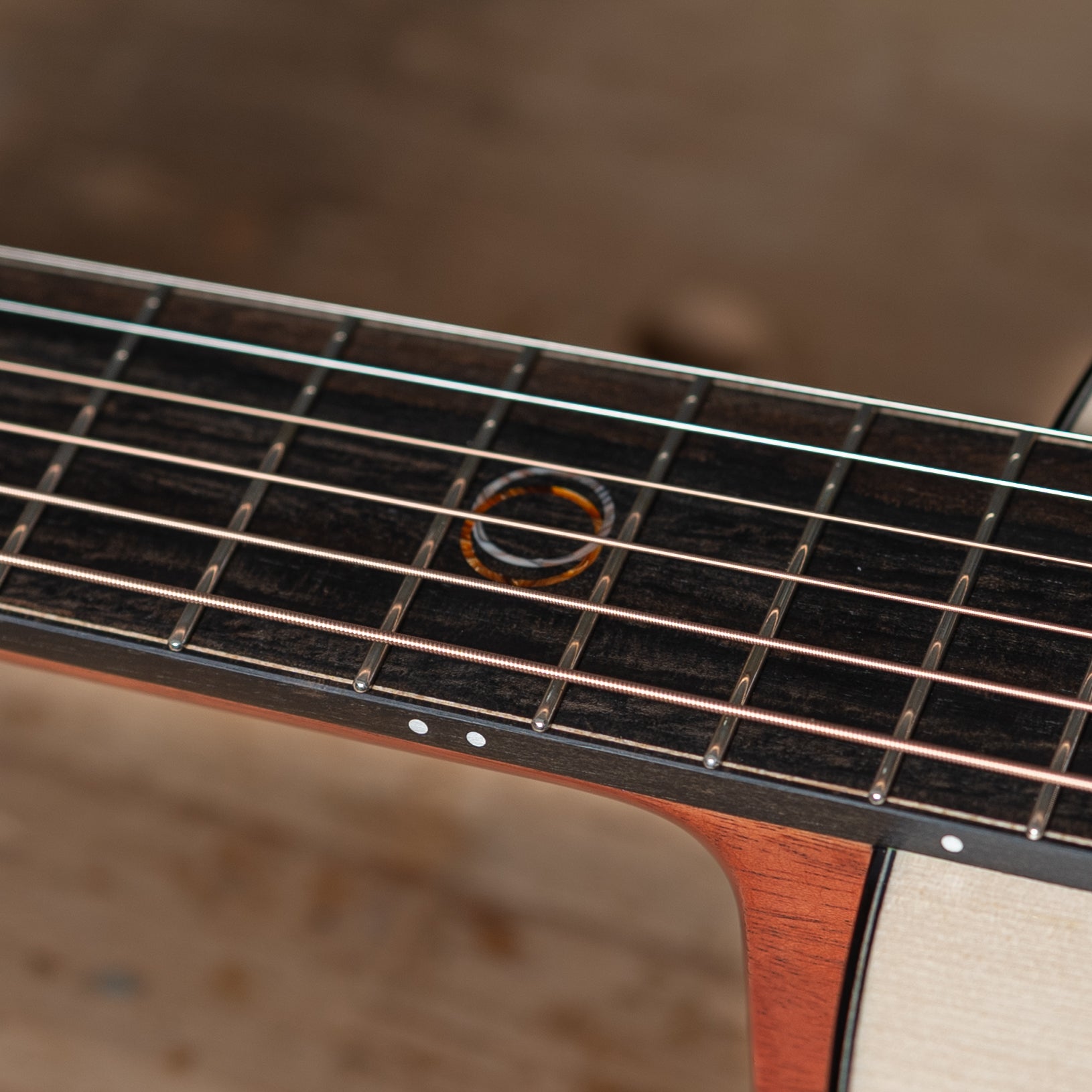 Close-up of an inlay on a guitar neck with frets and strings on a blurred background